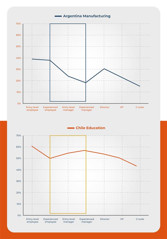 IDB Invest figure 2